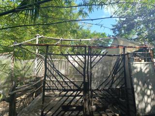 Space for your tent - Tulum - 8