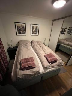 In the heart of the Northern Lights - 8