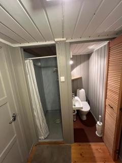 In the heart of the Northern Lights - 6