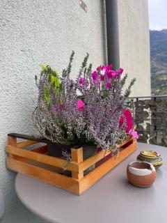 Emmie House - Aosta - 3