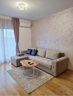 Apartman Zlatibor, Sneško Belic - Zlatibor - 9