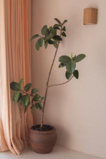 Soul Temple of Surfing - 9