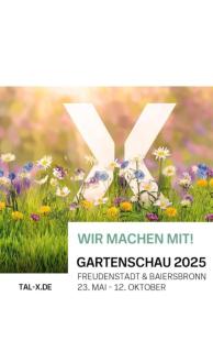 Traumblick FeWo mit Pool - Baiersbronn - 6