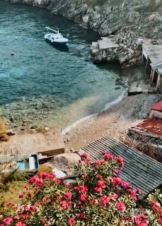 Apartman Fortunal - Blato - 1