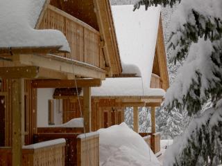 Holzmeisterhütte Teichalm-Sommeralm - Sankt Kathrein am Offenegg - 7
