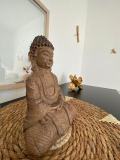 Les terrasses des myosotis - 3