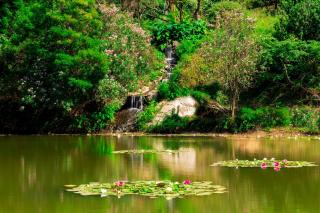 Arbatax Park Resort - Telis - Àrbatax - 2