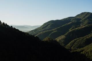 Agriturismo Le Scope - 5