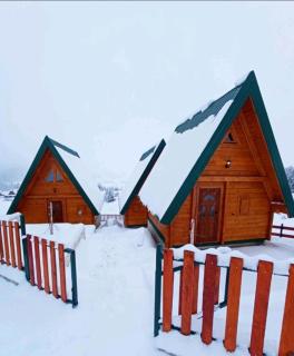 Holiday Homes B&V - Žabljak - 9