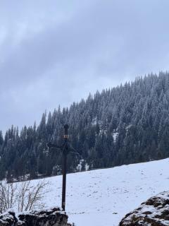 Casa Viorica- Pleta - 3