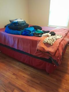 Roommate wanted - Greenville - 2