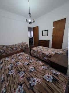 Departamento Peatonal - Mar del Plata - 2