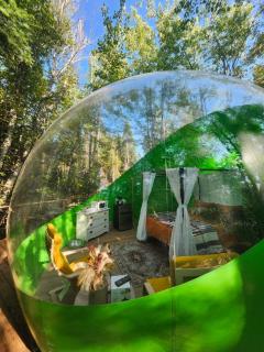 Estrella Glamping - Caraquet - 7