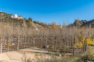 Cortijo El Plantío Castril - Castril - 3
