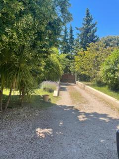Au Cœur de Vaison la Romaine Maison de charme, jardin, piscine. - Vaison-la-Romaine - 7