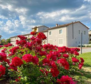 Agriturismo Saliceto - Agliana - 0