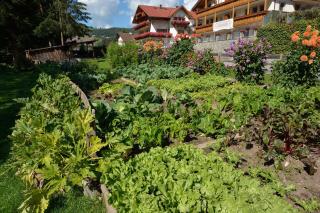 Garni-Hotel Pichler - Ortisei - 5