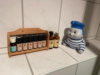 Haus mit Sauna, Garten und Pool - 3