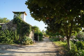 Casa da Eva at Terrus Winery - Barrô - 4