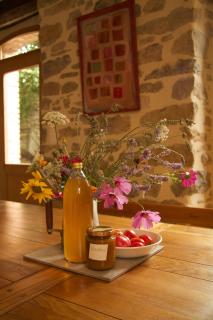 La Maison des Couleurs - Saint-Jean-de-Paracol - 6