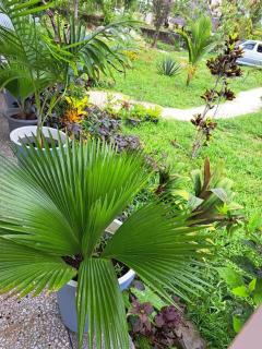 Diamond Coast Private House Paje - Paje - 9