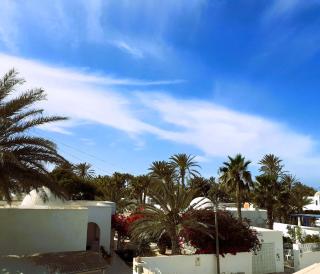 Dar Dalenda - Mezraya - 0