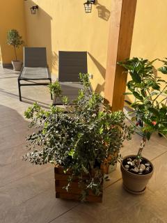 La Terrazza di Nela - Bagheria - 7
