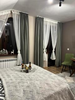 Mountain studio ASP E63 Borovets Gardens - Borovets - 3