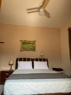 THE COUNTRY HOUSE KOUTSOUPIA - 9