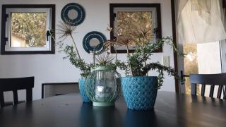 casa sauce de portezuelo punta del este - 9