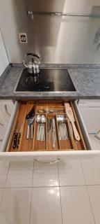 Luxury Apartmen by airport - Pardubice - 4