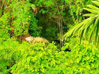 Estrena apartamento en el mejor Condominio con SPA de Ricaurte - 4