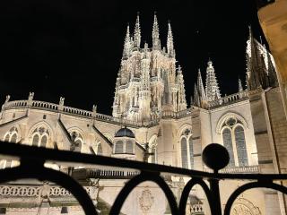 Tocando la Catedral by Exclusive Burgos Apartments - Burgos - 8