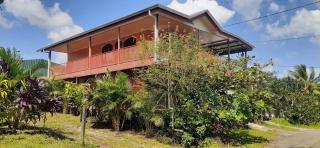 Arenal Container - Fortuna - 0