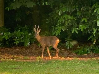 Kexby House Country Family Retreat - York - 8