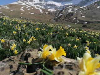 El Boj - 5