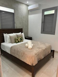 Ansonia Loiza Street apartment - San Juan - 8