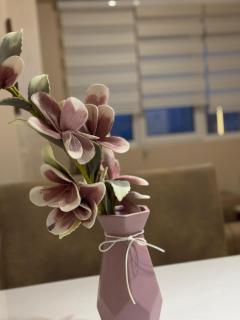 Apartman centar- Montana - Zlatibor - 6