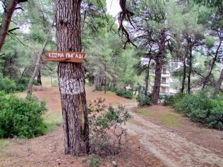 Daniil's Seafront Apartment - Nikiti - 5