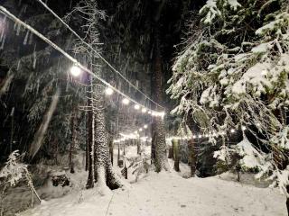 Borovets Villa Park studio - Borovets - 7