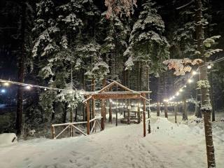 Borovets Villa Park studio - Borovets - 8