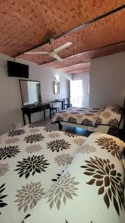 Hotel Amecatl - Ameca - 3