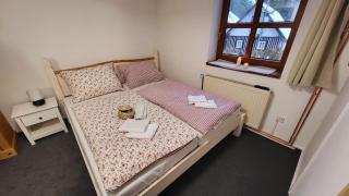 Penzion Na Staré cestě - 8