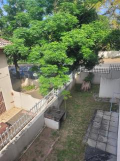 Franjipani - 2