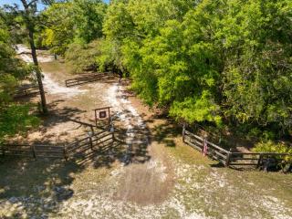Three Cedars - Cedar Key - 3