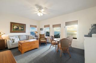 The Pink Pearl of the Gulf - 4