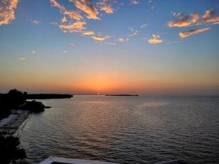 White Pelican A-1 Sunset views - Cedar Key - 9