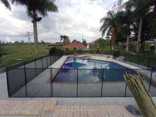 Eje cafetero Cacique Amarillo Finca - 7