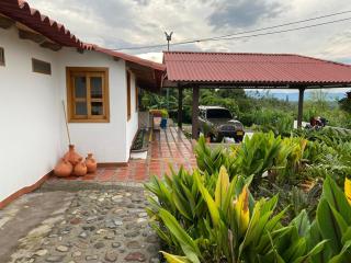 Eje cafetero Cacique Amarillo Finca - 6