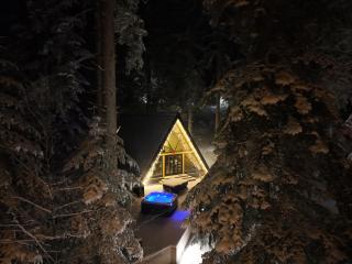 The Cozy Chalet - Bosanski Petrovac - 9